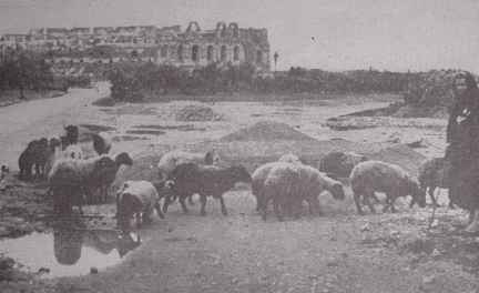 Ruins of amphitheater in Tunisia