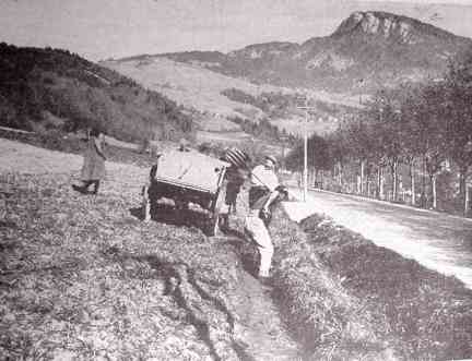 French farmers hauling lower soil furrow uphill