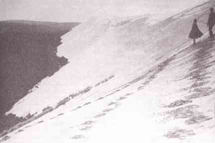 Uncontrolled sand dune in Les Landes Forest of southwestern France