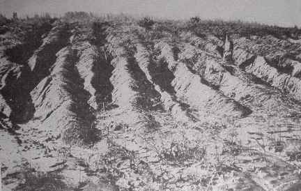 Gully erosion on a field in Virginia