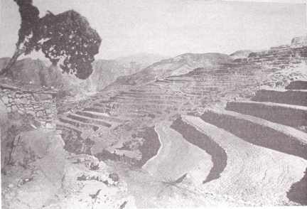 Terraces in China Shansi Province