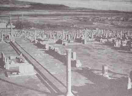 Ruins of Timgad