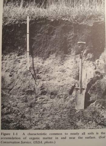 Topsoil - USDA, Soil Conservation Service photo